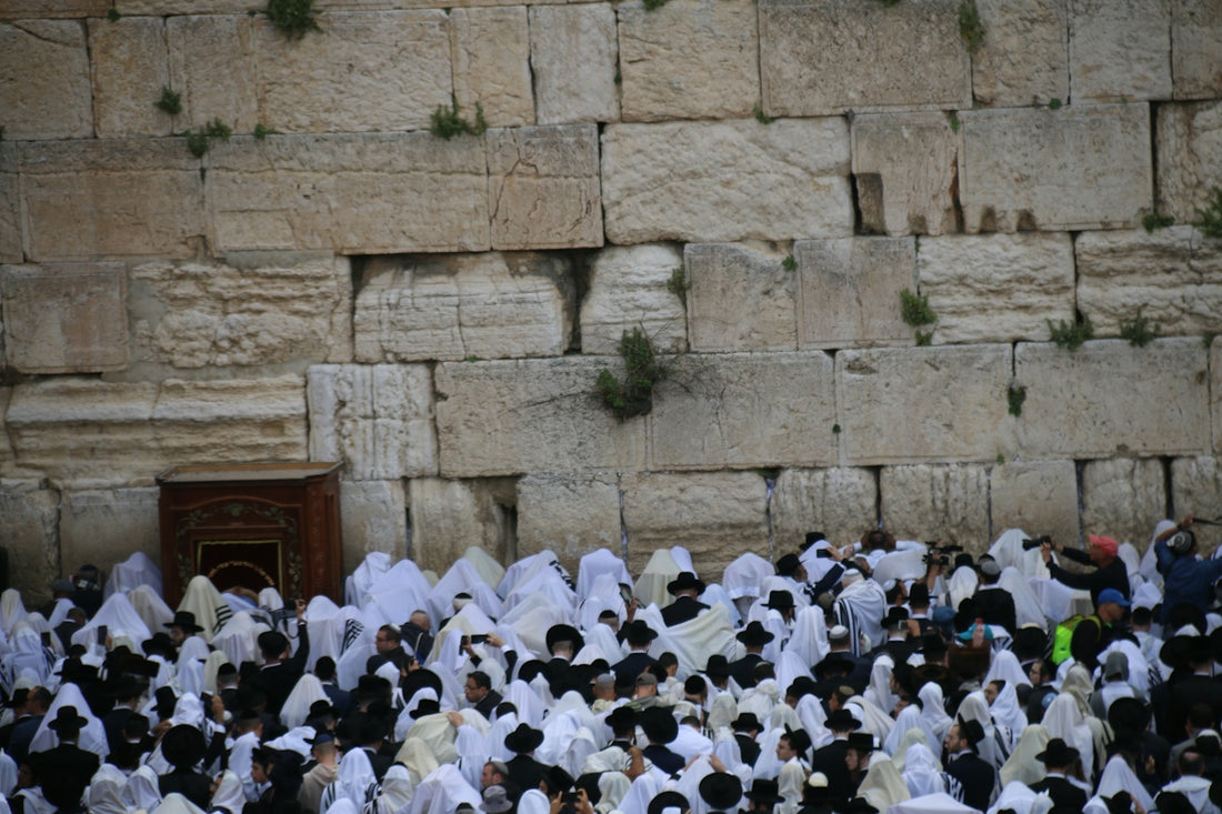 a crowd of people standing in front of a stone wall
