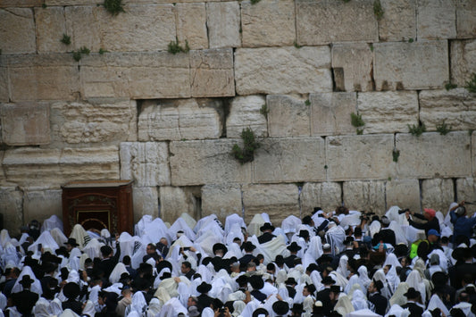 a crowd of people standing in front of a stone wall