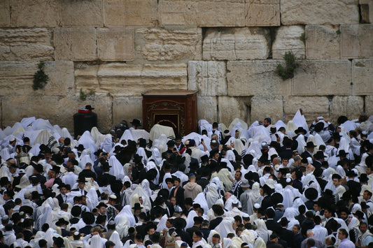 a large group of people standing in front of a stone wall