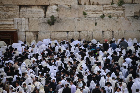 a large group of people standing in front of a stone wall