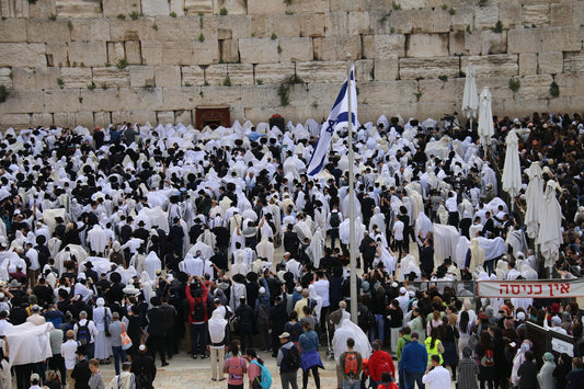 a large group of people standing in front of a stone wall