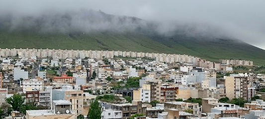 a view of a city with a mountain in the background