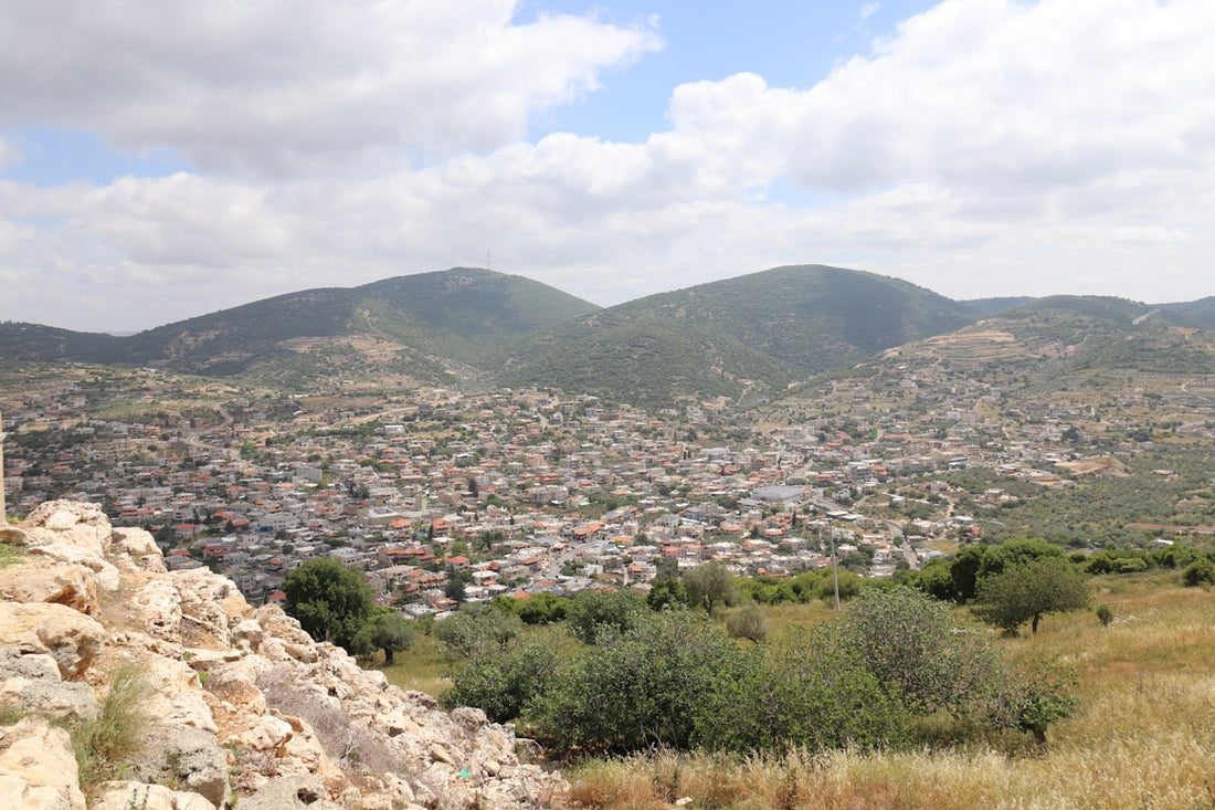 a view of a city from a hill