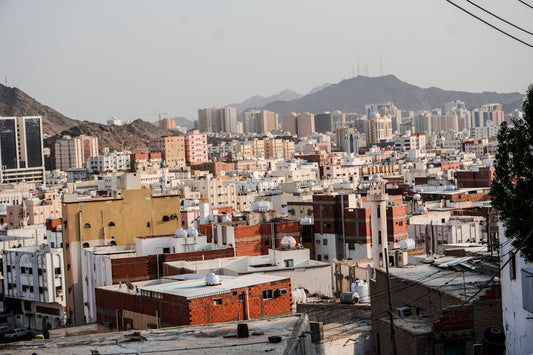 a view of a city with mountains in the background