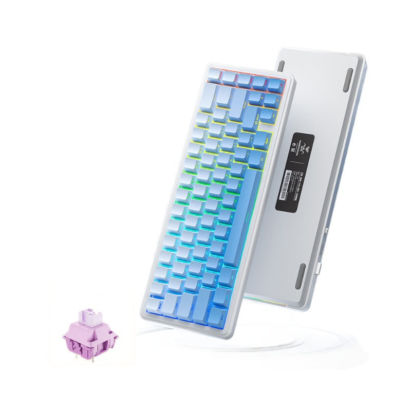 מקלדת גיימינג EPOMAKER x AULA F65