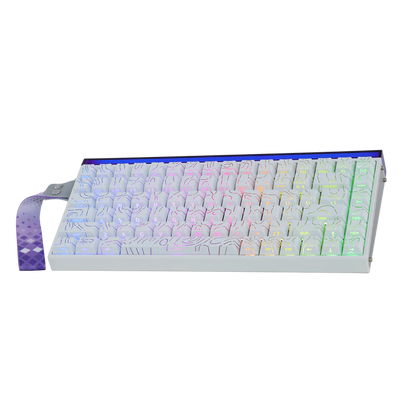 מקלדת גיימינג AULA HERO84